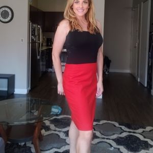 The Limited Skirt